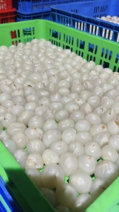 Lichi congelado de primera calidad, recogido a mano y empaquetado con cuidado, ideal para helados, batidos y recetas de mezcla de frutas. - Product Image 3