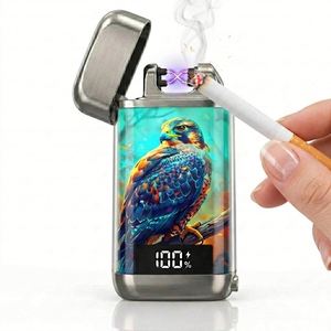 Briquet Électrique Falcon X 2026 France – Étui Élégant et Portable pour Accessoires Fumeurs avec Recharge USB et Conception Coupe-Vent - Product Image 5