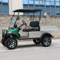 HDK EVOLUTION Buggy Pick up para la venta Eléctrico 4 Ruedas 48V Mini Camión Carrito de golf