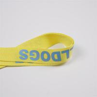 CH Wholesale Sublimation Printing Polyester Lanyards With Logo Custom Certification Keychain OEM ODM ECO Promotion Event Gifts