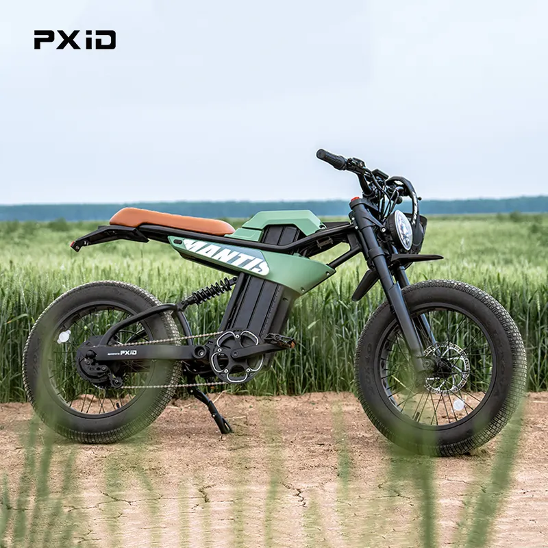 PXID 2024 New Model P6 Fat Tire E-bike 20AH 35AH Lithium Battery Electric Mountain Bike