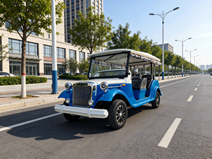 Voiturette de golf électrique mini noire, voiture électrique vintage, automobile classique, voiture de tourisme, nouvelle couleur personnalisée sur mesure - Product Image 1