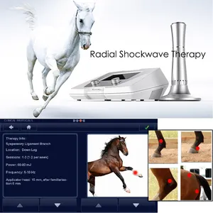 Shock Wave Therapy Machine, For Hospital, Model Name/Number: BS-SWT2X