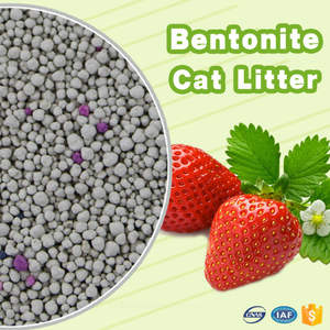 Arena para Gatos Emily Pets, Bentonita, Arena Aglomerante para Gatos, Suministro a Granel - Product Image 6