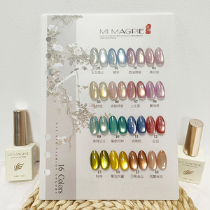 AILANUO Chrome <b>Cat</b> Eye Gel polish 16 Colors non wipe cateye <b>top</b> coat gel polish set tpo/hema free OEM ODM hot supplier - Product Image 1