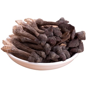Funghi Termitomyces Selvatici Essiccati di Alta Qualità 100g per Creazioni Culinarie - Product Image 1