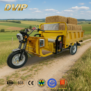 Tricycle électrique motorisé à trois roues, fabriqué en usine, <span class=keywords><strong>pour</strong></span> le transport de marchandises ou de passagers, avec benne basculante automatique. - Product Image 1