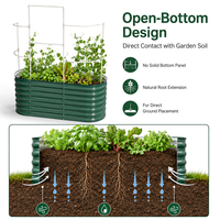 Jardinera Elevada Ovalada SEEYES con Enrejado, Maceta de Metal Galvanizado para Exteriores, Marco para Plantas Trepadoras, Fabricante OEM ODM