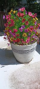 Fleurs artificielles anti-poussière, résistantes aux UV, plantes artificielles pour la décoration de <span class=keywords><strong>terrasse</strong></span> - Product Image 5