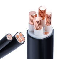 Cable de Alimentación Estándar YJV/YJY de Cobre de Calidad Superior 1x300mm 0.6/1kV con Aislamiento XLPE