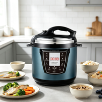 Autocuiseur Électrique OEM ODM avec Logo Personnalisé, Multifonction, pour la Maison, Appareil de Cuisine