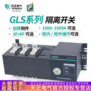 Tengen Disconnect <b>Switch</b> 3P 250A 380V Indoor Use - Product Image 5