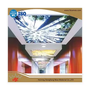 HL UV in translucent mềm pvc stretch film trần