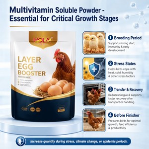 Aditivos para Alimento Mixto de Aves de Corral que Promueven la Producción de Huevos y la Salud para Gallinas Reproductoras de Alto Rendimiento - Product Image 5