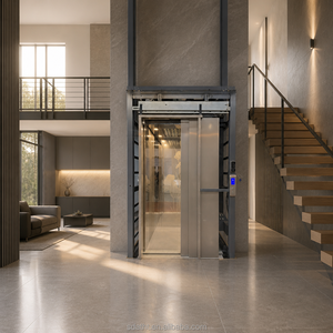 Elevadores Hidráulicos Económicos <span class=keywords><strong>para</strong></span> Interiores/Exteriores, Elevador Residencial <span class=keywords><strong>para</strong></span> Viviendas Privadas - Product Image 3