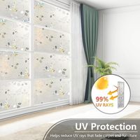 Film adhésif statique PVC sans colle, décoratif moderne pour vitres, imperméable, effet arc-en-ciel, film de confidentialité pour fenêtre, protection UV, salon