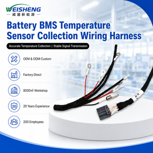 Cablaggio per Acquisizione Dati BMS Batteria EV, Sensore di Temperatura, Cavo con Terminale ad Anello, Assemblaggio OEM - Product Image 1
