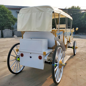 รถม้าไฟฟ้าราคาโรงงานขายส่ง - เหมาะสำหรับใช้ในสวนสนุก งานแต่งงาน และการท่องเที่ยว - Product Image 6