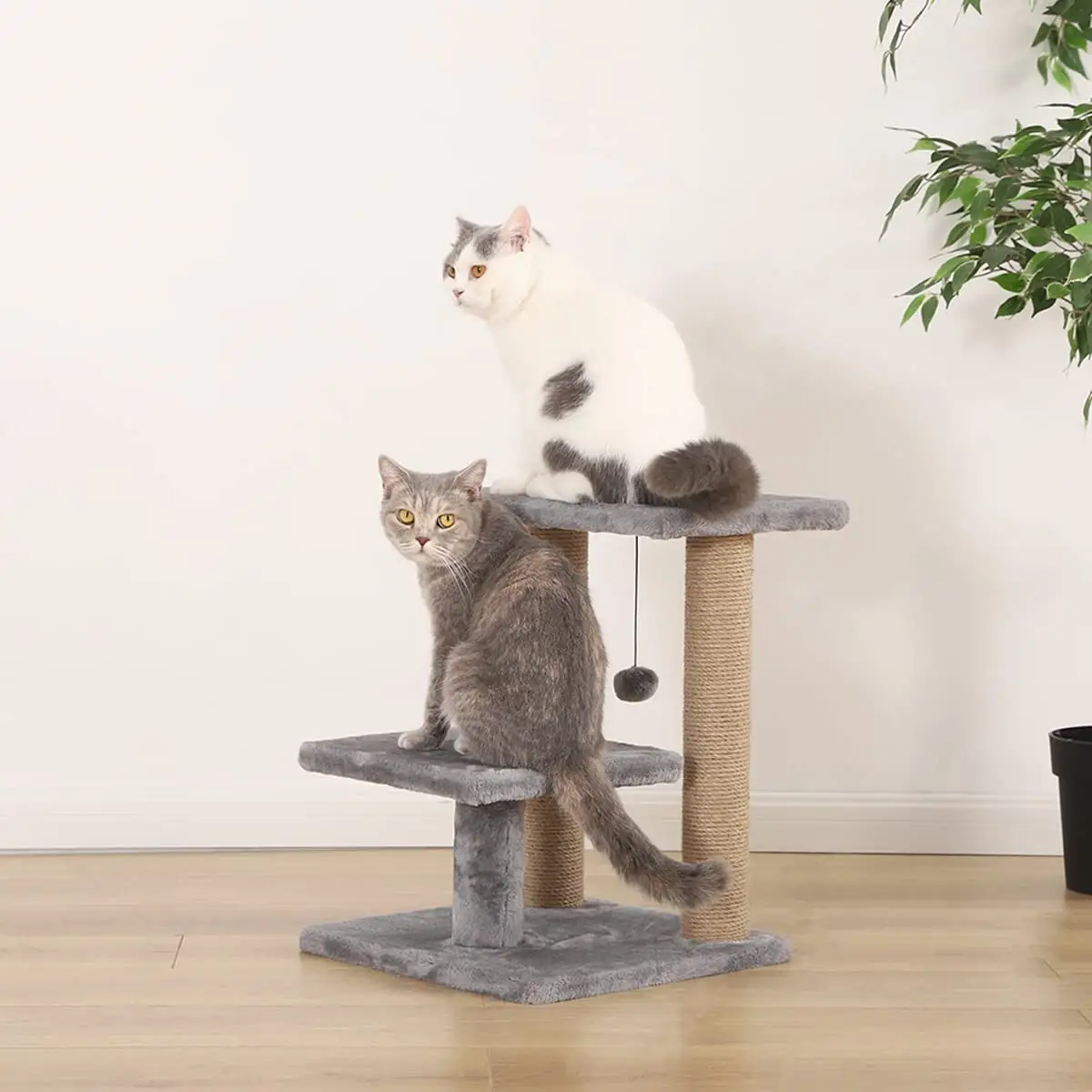 High Quality Wooden Interactive Toys Climbing Frame Small Multi-colors Mushroom Cat Tree