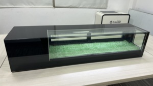 Belnor/Kohinur Quầy Trưng Bày Quầy Bar Sushi Tủ Trưng Bày <span class=keywords><strong>60L</strong></span> Cho Máy Làm Lạnh Trưng Bày Thương Mại Sushi - Product Image 4