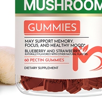Gummies aux champignons Lion's Mane saveur myrtille et fraise 500mg par gomme 60 unités Végétaliennes pour adultes