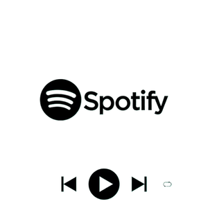 Comptes individuels Spotify Premium personnels (non-relatifs à un groupe familial) – Invitation 6-12 mois - Product Image 2