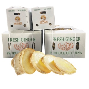 Hot Bán 250G Trưởng Thành Tươi Không Khí Khô Trung Quốc Đặc Điểm Kỹ Thuật Gừng Xuất Khẩu Sang Mỹ Thị Trường - Product Image 1