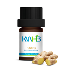 Aceite Esencial Puro de Jengibre KWHB 5ml Extractor Herbal para Uso Doméstico Producto de Tailandia - Product Image 1