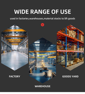 رافعة علوية آمنة ذات عارضة مزدوجة عالية الصلابة مع تحكم في السرعة بالتردد المتغير - Product Image 4