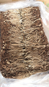 CHENGYITANG Champignons séchés Agrocybe <span class=keywords><strong>Aegerita</strong></span> & Cylindracea, champignons comestibles bruns cultivés naturellement, 1KG - Product Image 5