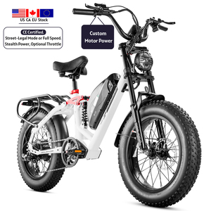 Vélo certifié Eahora EN15194, moteur sans balais 750W, batterie 48V 15Ah, cadre en acier, vélo électrique de ville avec porte-bagages arrière, éclairage LED - Product Image 1