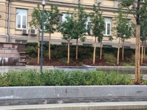 Pierre naturelle de pointe <span class=keywords><strong>en</strong></span> <span class=keywords><strong>granit</strong></span> blanc, g, plante <span class=keywords><strong>pour</strong></span> bordure de jardin, pavage de route - Product Image 6