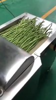Elektrische groentesnijmachine, aardappelblokjes snijder, multifunctionele groente- en fruitsnijder, fruitverwerkingsapparatuur