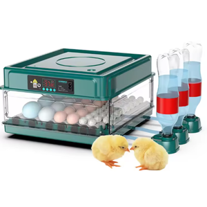 Incubadora de Huevos de Gran Capacidad Diseñada para Criaderos Comerciales, Calidad Industrial, Funcionamiento Continuo 24/7 - Product Image 3