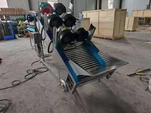 Pathway multifuncional SS304 <span class=keywords><strong>Tomate</strong></span> Saladett Clasificador de secado al aire Máquina clasificadora de frutas para dimensionar patatas Máquina clasificadora - Product Image 5