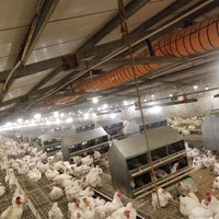 Poules en métal nichoirs Collection équipement d'élevage de volaille ponte 24 trous nid d'oeufs de poulet boîte manuelle