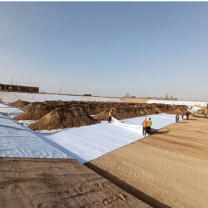 Géotextile industriel PET haute résistance anti-âge pour le renforcement routier, les infrastructures de construction, les barrages et les talus fluviaux - Product Image 6