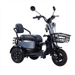 Tricycle à une vitesse à moteur électrique, 3 places, siège en mousse de sable brun gaufré, phare haute luminosité, 48V 600W - Product Image 1