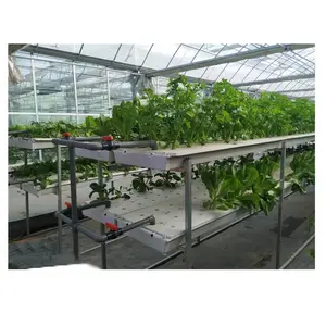 Invernadero comercial NFT DWC, sistemas de cultivo hidropónico de lechuga