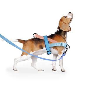 Kişiselleştirilmiş Sıkışmayan Köpek Tasması Yeleği Yumuşak Dolgulu Tutamak Nefes Alabilen Yansıtıcı Şerit Hızlı Giyilebilir Kaçışa Dayanıklı Naylon PVC Kürk - Product Image 5