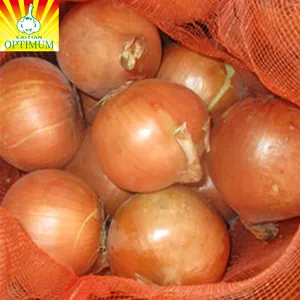 Chinese New Fresh Yellow Red Onion With Mesh Bag Purple Origin White Onion Garlic China Non Peeled Organic Onion Price