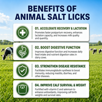 Chlorure de sodium de qualité alimentaire, complément alimentaire pour animaux, pureté 96 %, sûr pour le bétail, les moutons, les buffles, les cerfs, minéraux et digestion