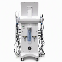 Appareil de soin du visage 14 en 1 avec jet d'oxygène, peeling au diamant, nettoyage en profondeur, microdermabrasion, hydrodermabrasion