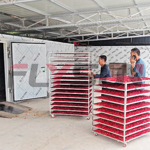 เครื่องอบพริก FLYSUN ห้องอบพริกแห้งสำหรับอบพริกฮาลาปปิโนและพริกไกอิ้น อุปกรณ์แปรรูปเครื่องเทศ - Product Image 3