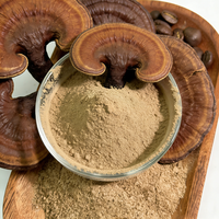GANOHERB Capsules pour adultes Reishi Ganoderma Extrait de melon amer Énergie naturelle Complément alimentaire à base de plantes Certifié biologique Marque privée