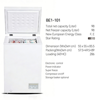 Congélateur coffre horizontal 251L à température unique, dégivrage automatique, alimenté au gaz, pour usage domestique et hôtelier