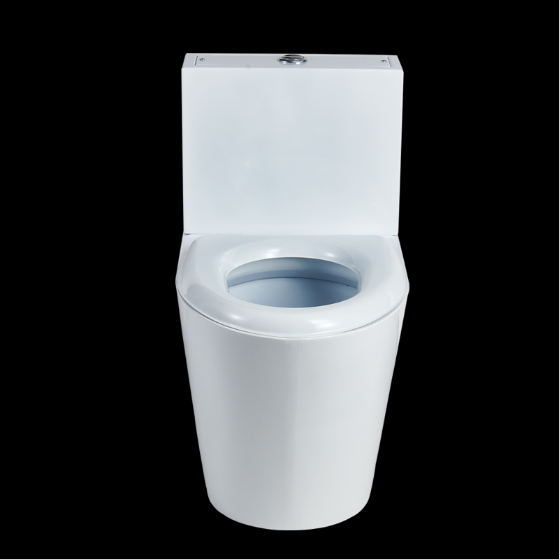 Customized Color One Piece WC Metal Bathroom Toilet For Sale