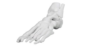 Imprimante 3D couleur ComeTrue, impression 3D couleur intégrale - Product Image 3