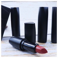 Maquillage de haute qualité, rouge à lèvres végétalien nu, étiquette privée, cosmétique, rouge Sexy, hydratant, crème, imperméable