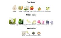 Damenparfüm Tropfenförmige Flasche Gelbe Flüssigkeit Goldverzierung Birne Pfirsich Tuberose Orchidee Brombeere Valentinstag Langanhaltend